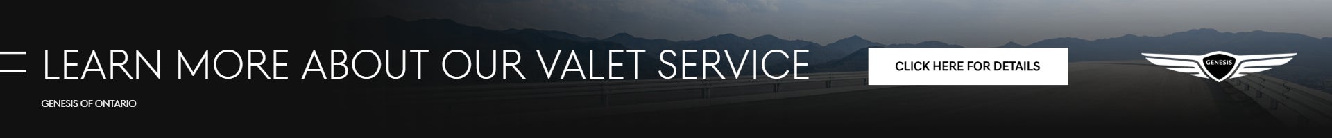 Website Banner