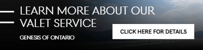 Website Banner