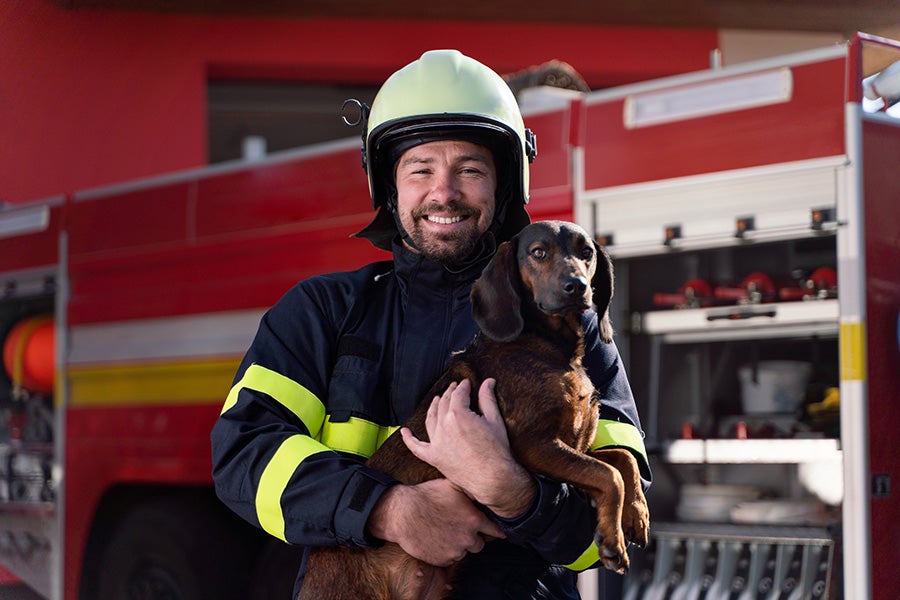A Male FireFighter Holding A Dog Staood In Front Of A Vehicle
